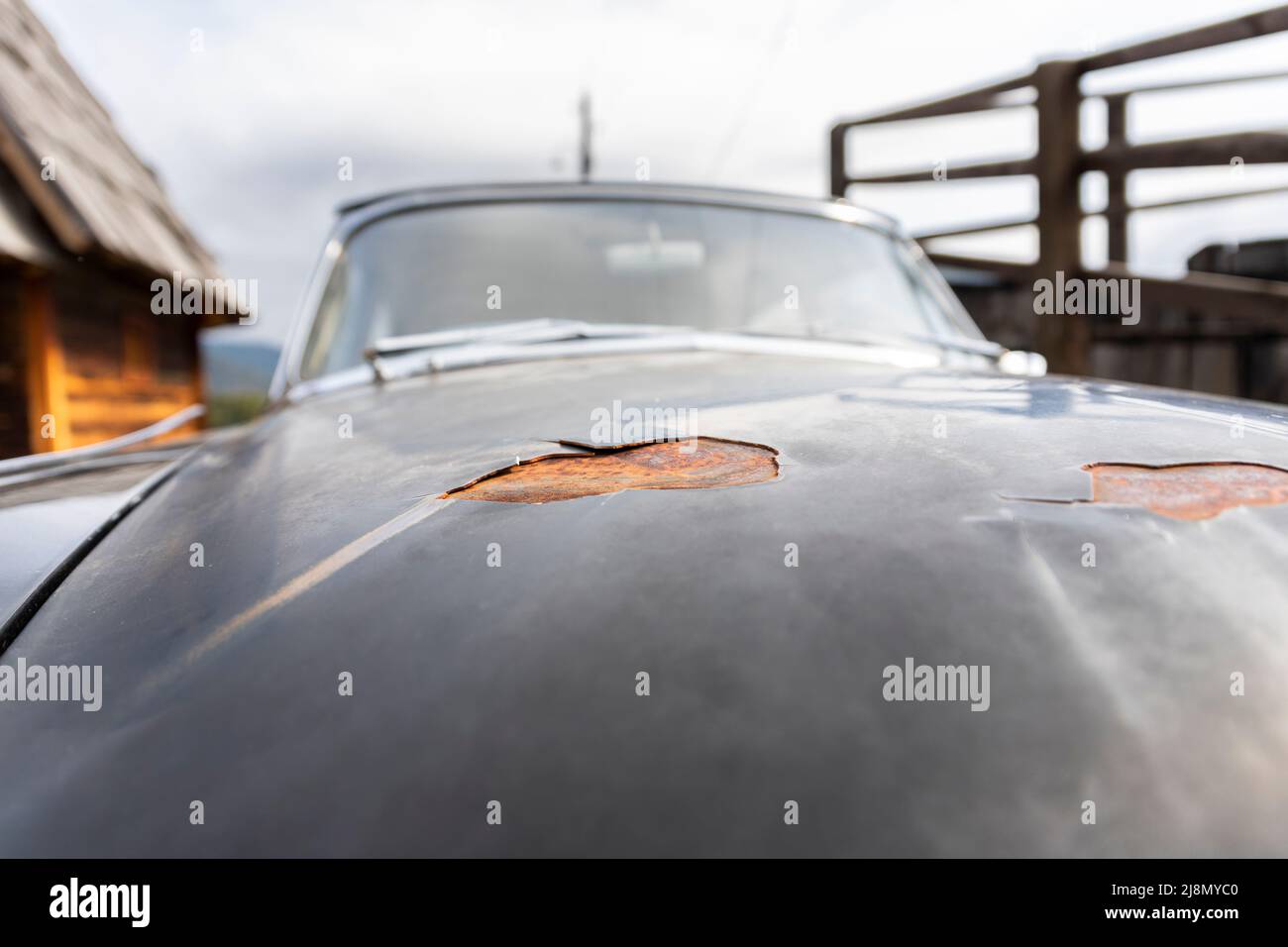 Car paint stripping decay. Peeling paint and rusted metal on an old