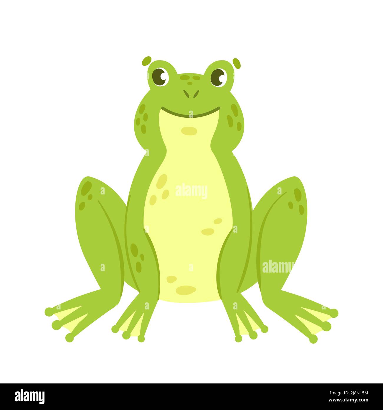 Green frog in sitting pose. Wild aquatic fauna, water amphibian vector ...