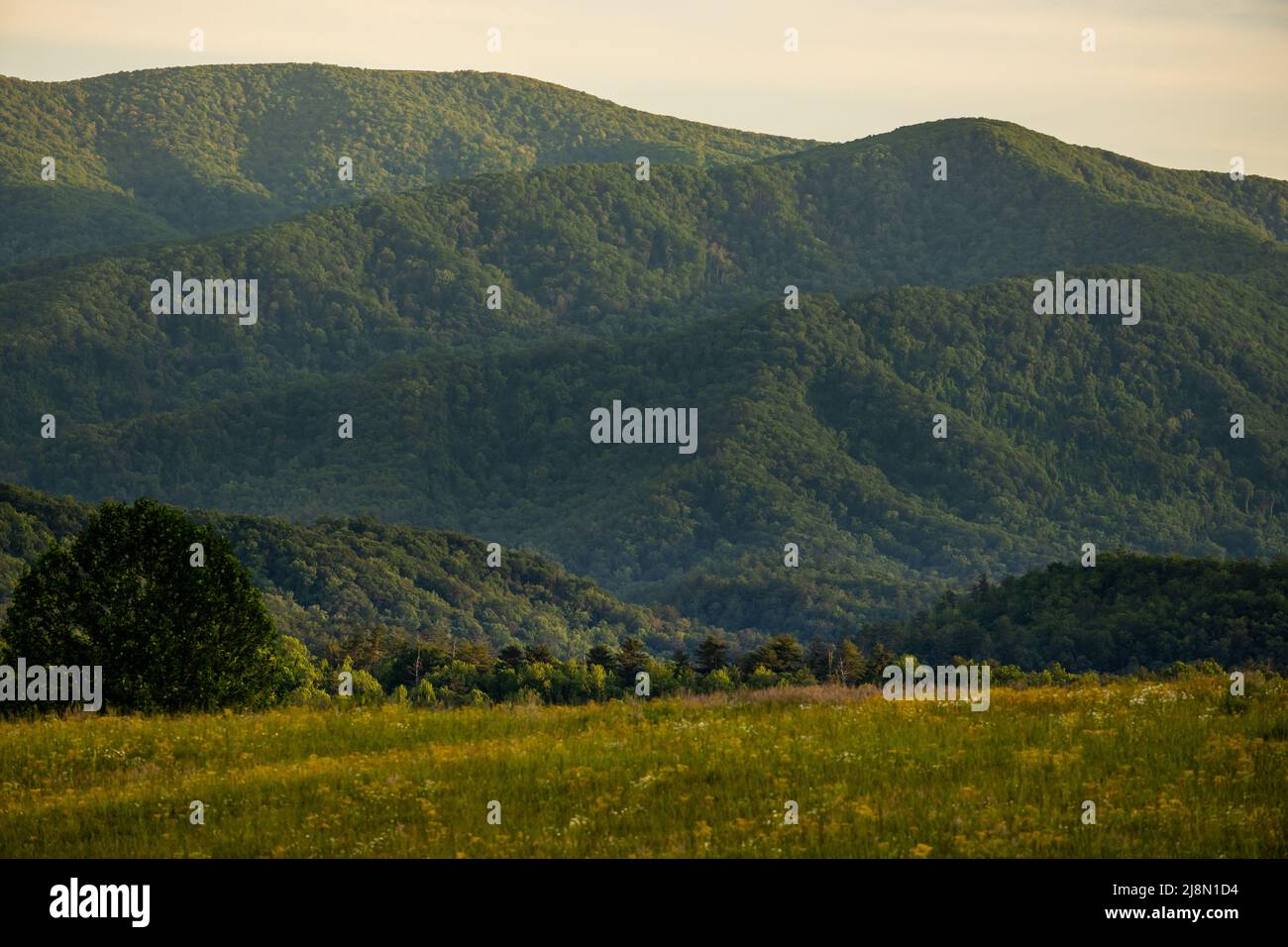 Layers of Ridges Surrounding Cades Cove in Great Smoky Mountains