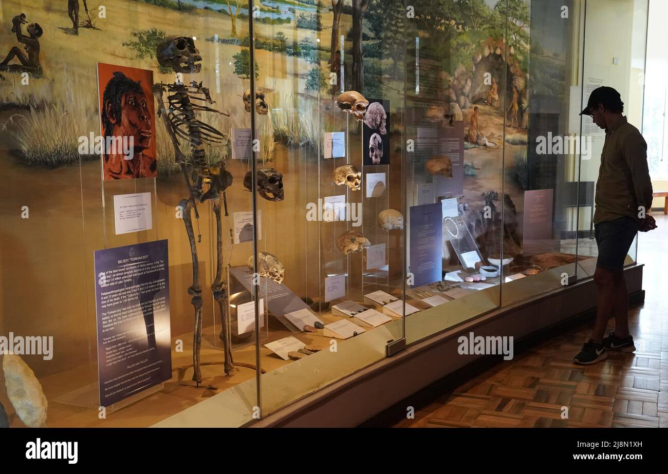 Nairobi. 16th May, 2022. A man looks at exhibits at Nairobi National Museum in Kenya, on May 16, 2022. National Museums of Kenya (NMK) was established in Nairobi in 1910. It is a multi-disciplinary institution whose role is to collect, preserve, study, document and present Kenya's past and present cultural and natural heritage. Credit: Dong Jianghui/Xinhua/Alamy Live News Stock Photo