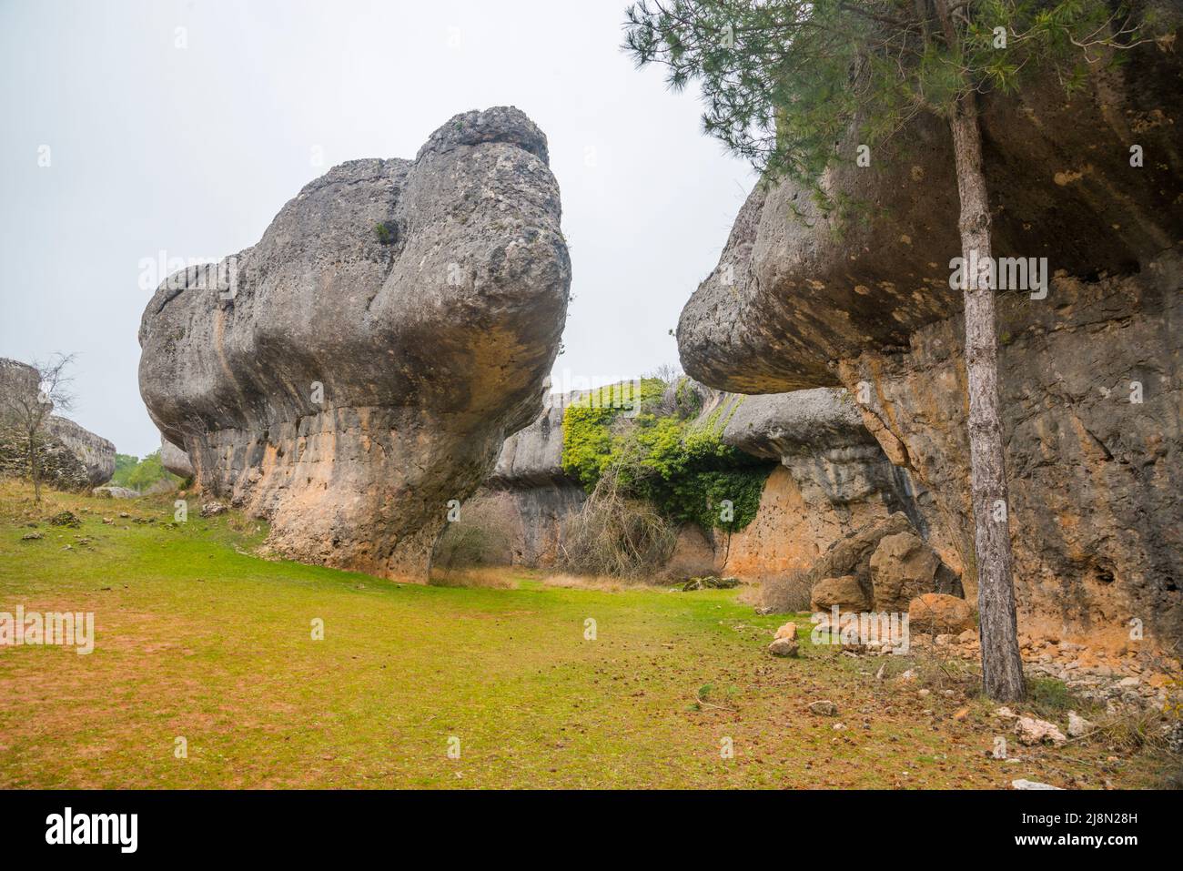 Rocks. Ciudad Encantada, Serrania de Cuenca Nature Reserve, Cuenca province, Castilla La Mancha, Spain. Stock Photo