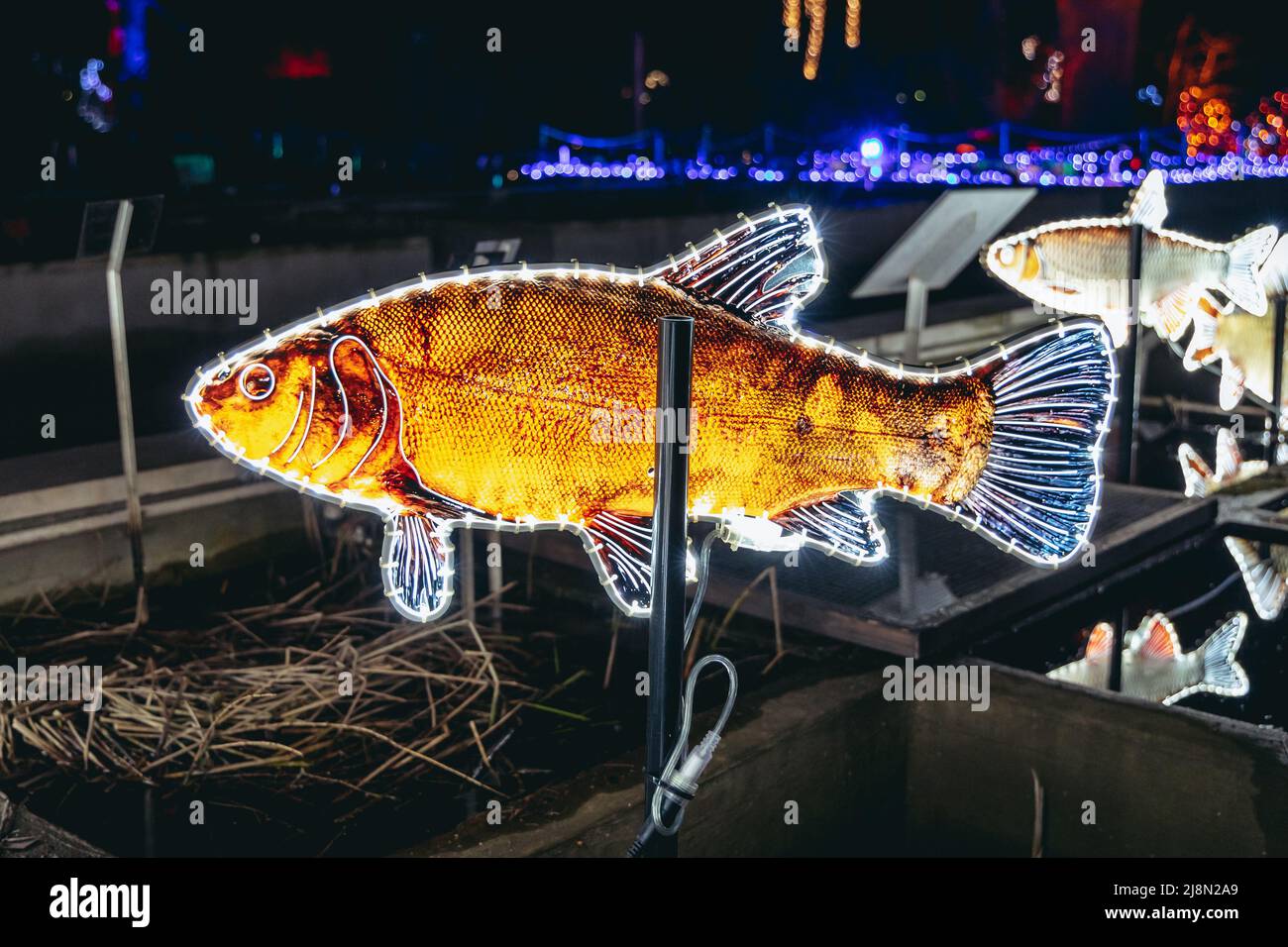 The Magical Botanic Garden exhibit in The Botanical Garden of the