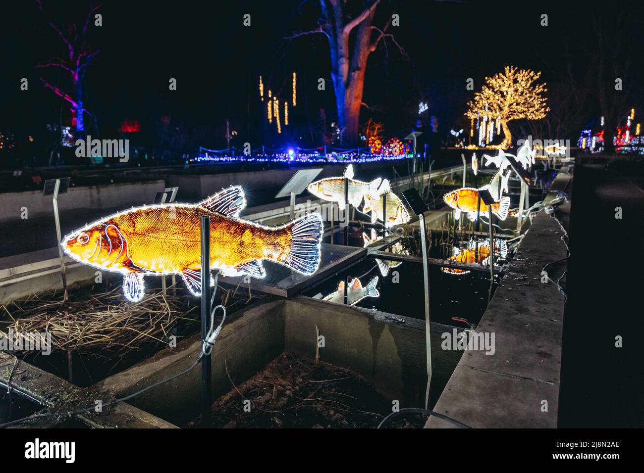 The Magical Botanic Garden exhibit in The Botanical Garden of the