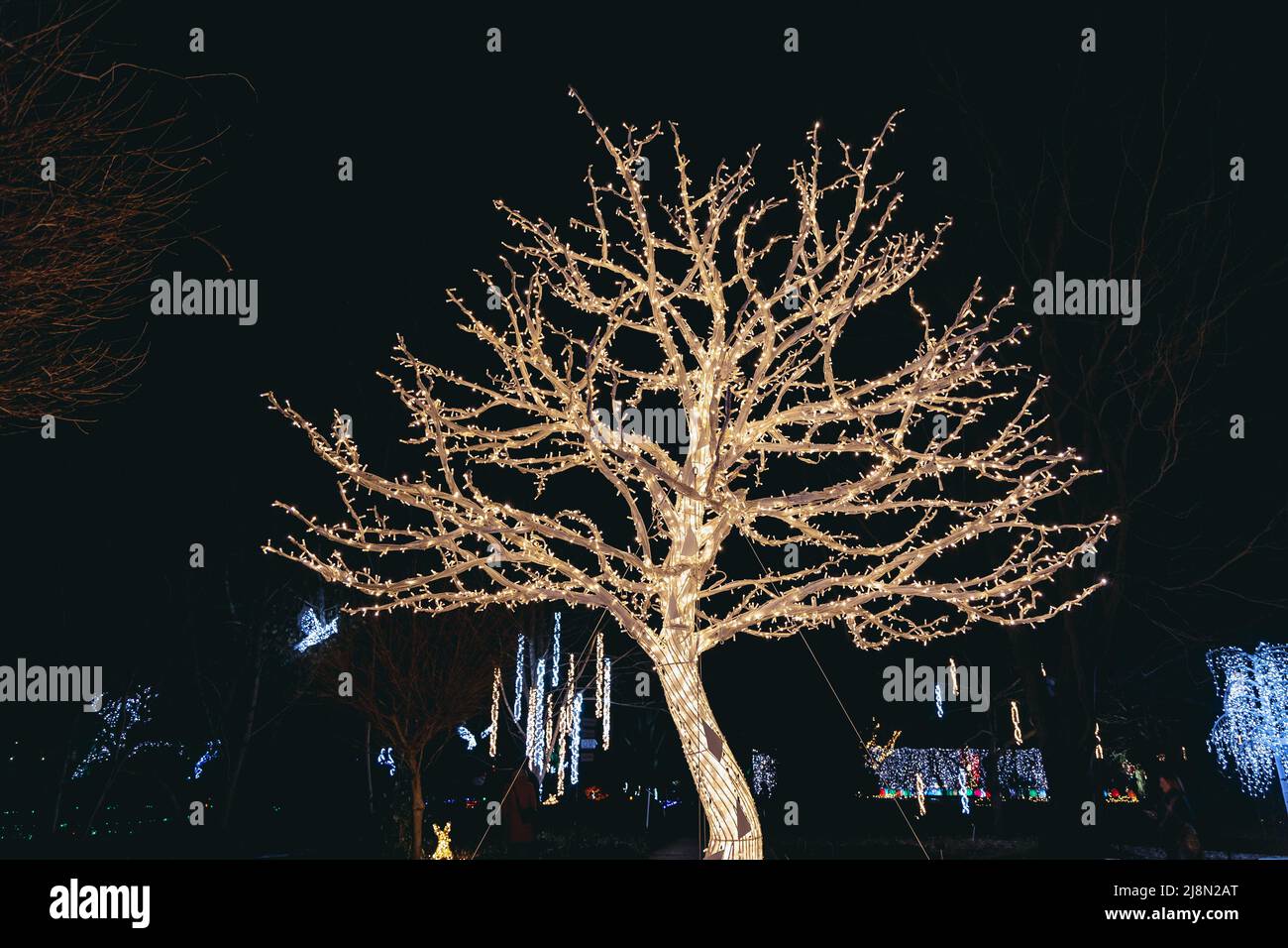 Tree in The Magical Botanic Garden exhibit in The Botanical Garden of