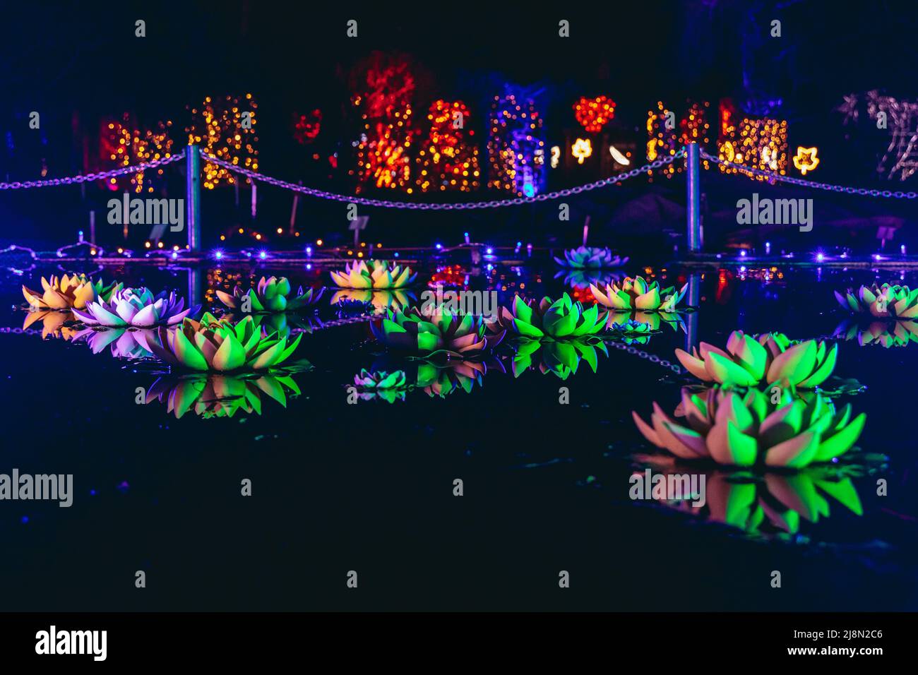 Light waterlilies in The Magical Botanic Garden exhibit in The