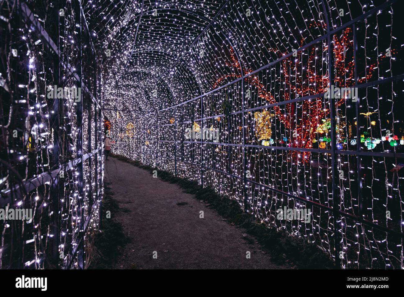 Pergola in The Magical Botanic Garden exhibit in The Botanical Garden