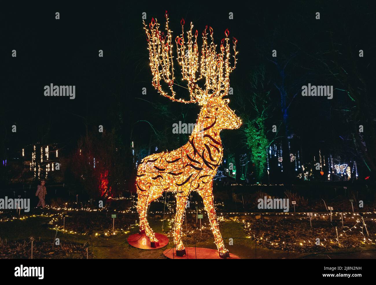 Deer light statue in The Magical Botanic Garden exhibit in The