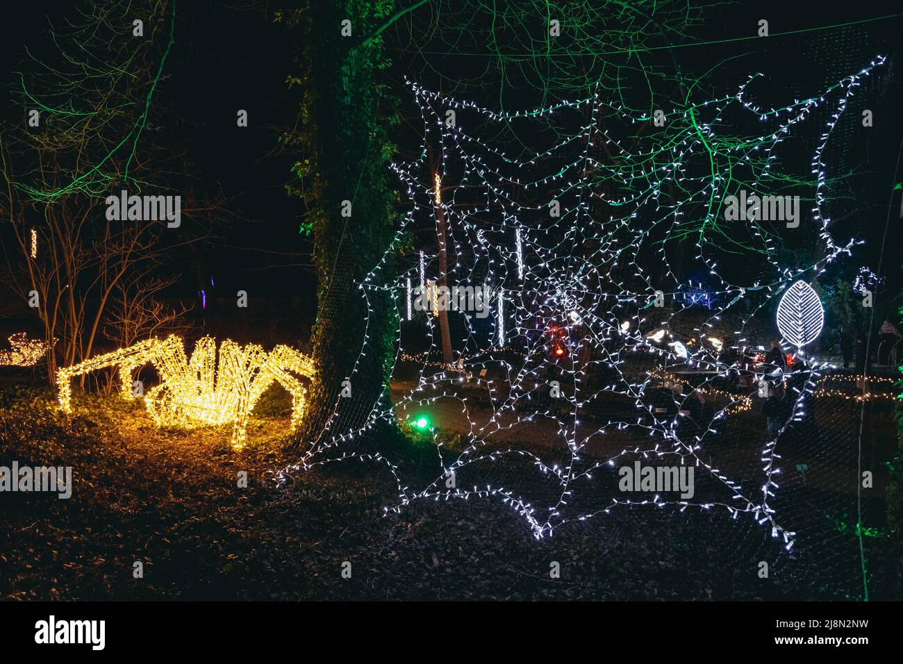 The Magical Botanic Garden exhibit in The Botanical Garden of the