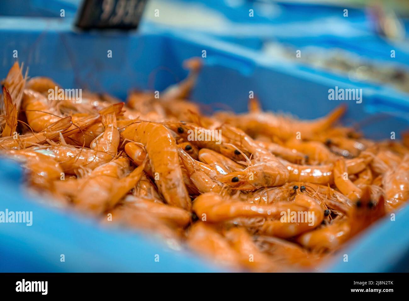 Closeup display of fresh prawns for sale at local fish market Stock