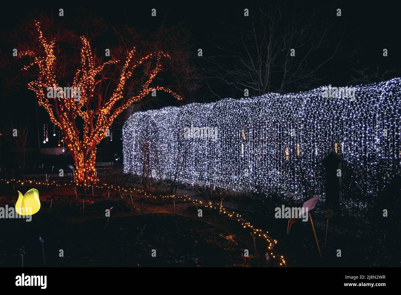 Pergola in The Magical Botanic Garden exhibit in The Botanical Garden