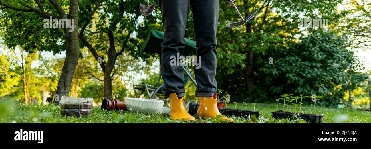 Unrecognizable female gardener standing in her ornamental backyard garden. Planting seedlings, starting cut flower garden. gardening as a hobby banner Stock Photo