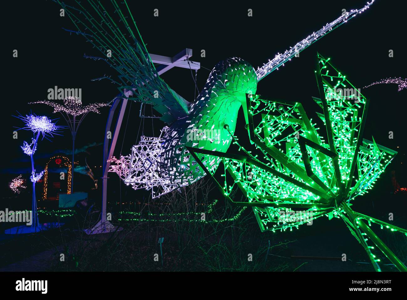 Light statue of hummingbird in The Magical Botanic Garden exhibit in