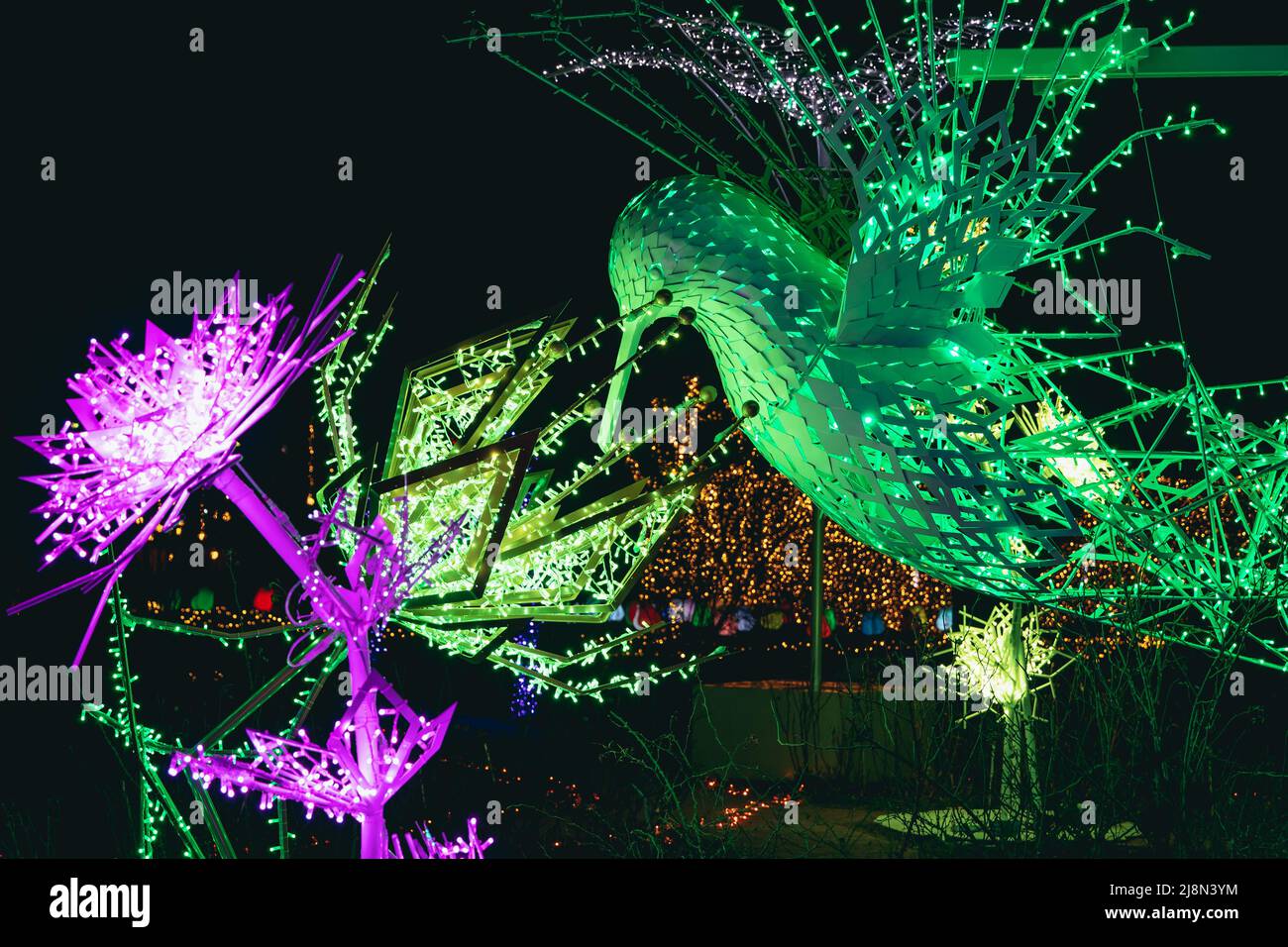 Light statue of hummingbird in The Magical Botanic Garden exhibit in