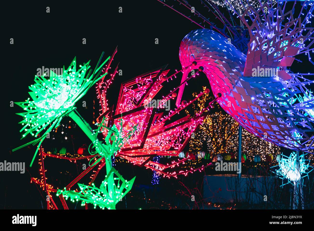 Light statue of hummingbird in The Magical Botanic Garden exhibit in