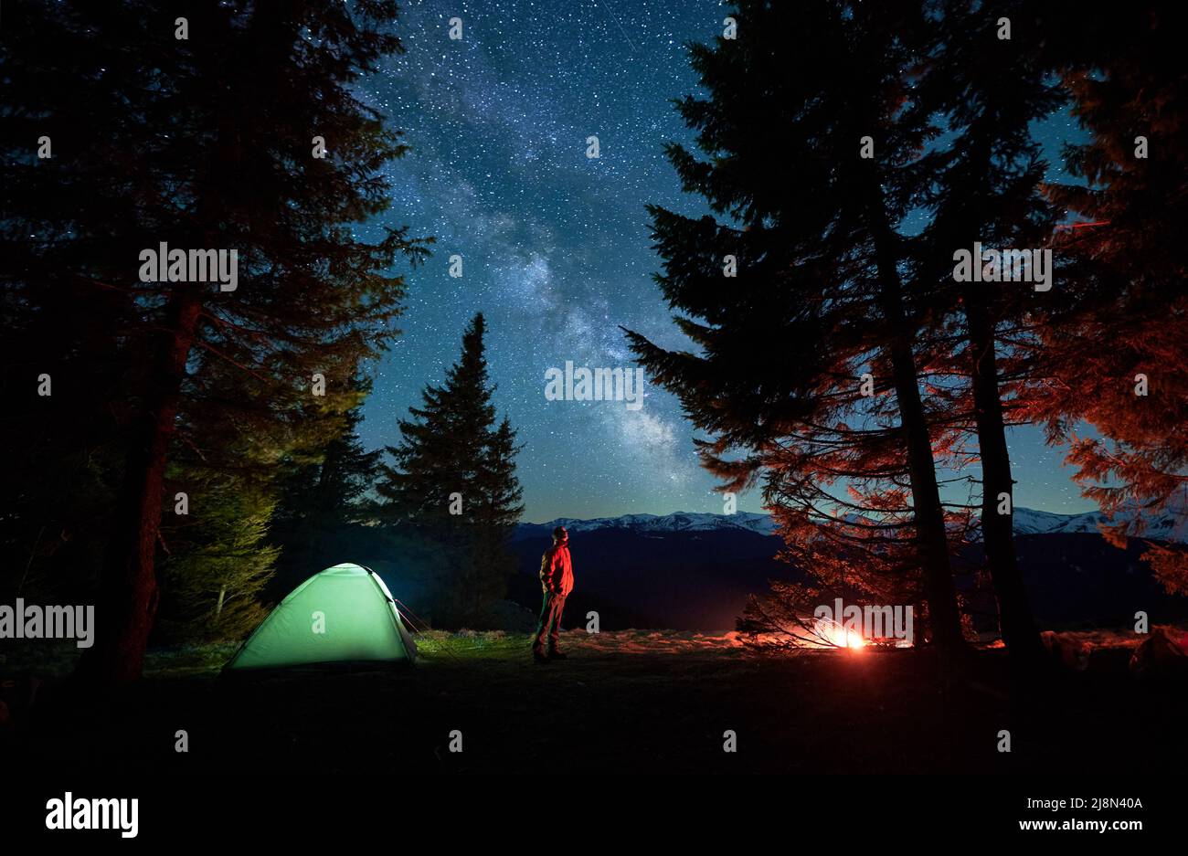 Side view of male hiker looking up admire beauty of picturesque starry sky with Milky way during night in campsite, backpacker visiting mountains with tent set camp near spruce forest in National Park Stock Photo