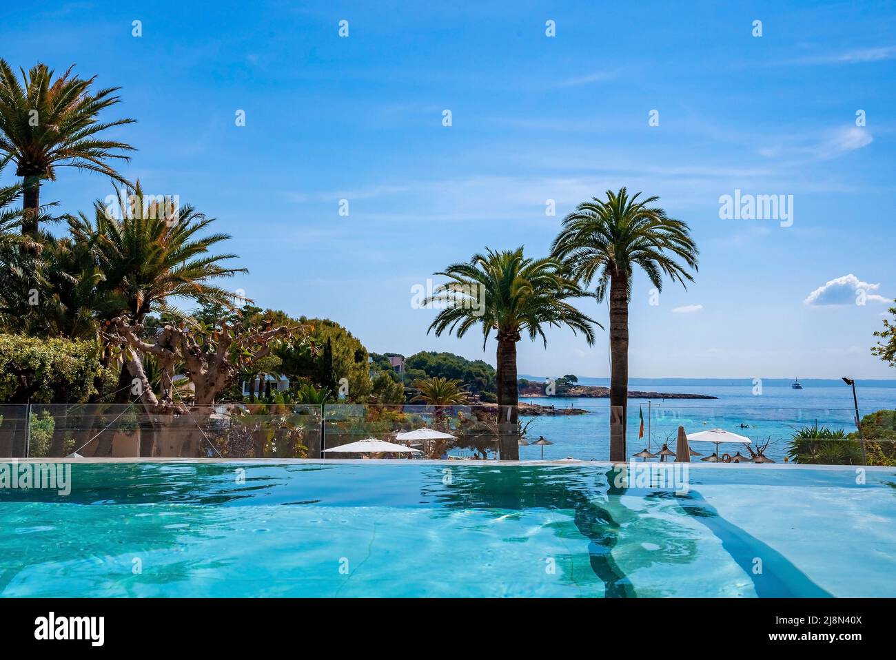 Swimming pool with view of trees and seascape against blue sky Stock Photo