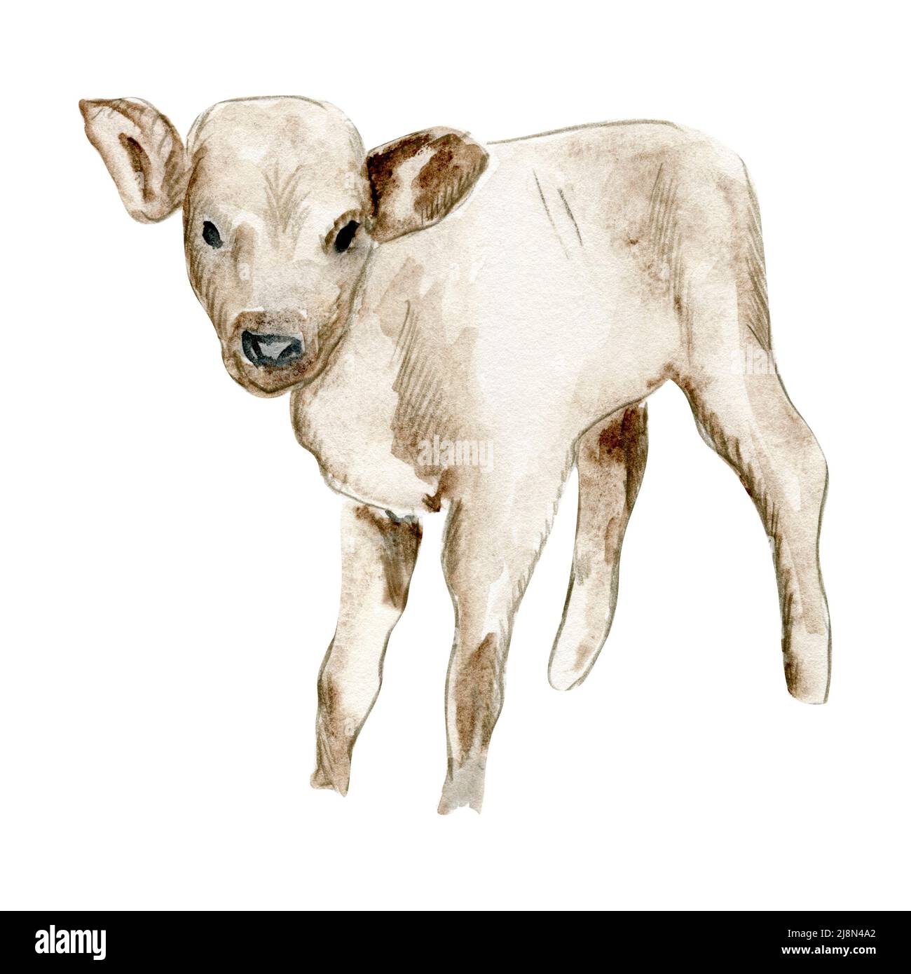 Cute farm animals Stock Photo - Alamy