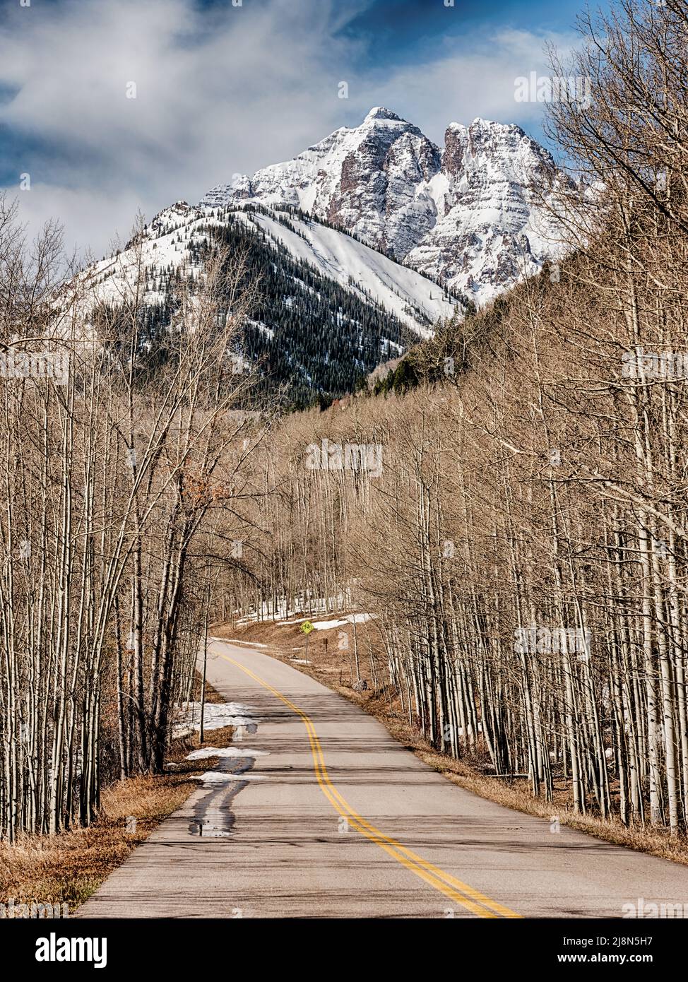 A road winds through groves of aspen trees on the way to the Maroon Bells in Colorado. Stock Photo