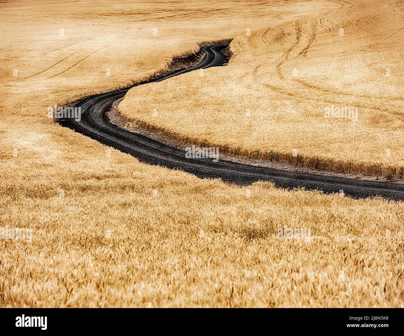 A country road winds through the wheat fields of the Palouse near Waitsburg, Washington. Stock Photo