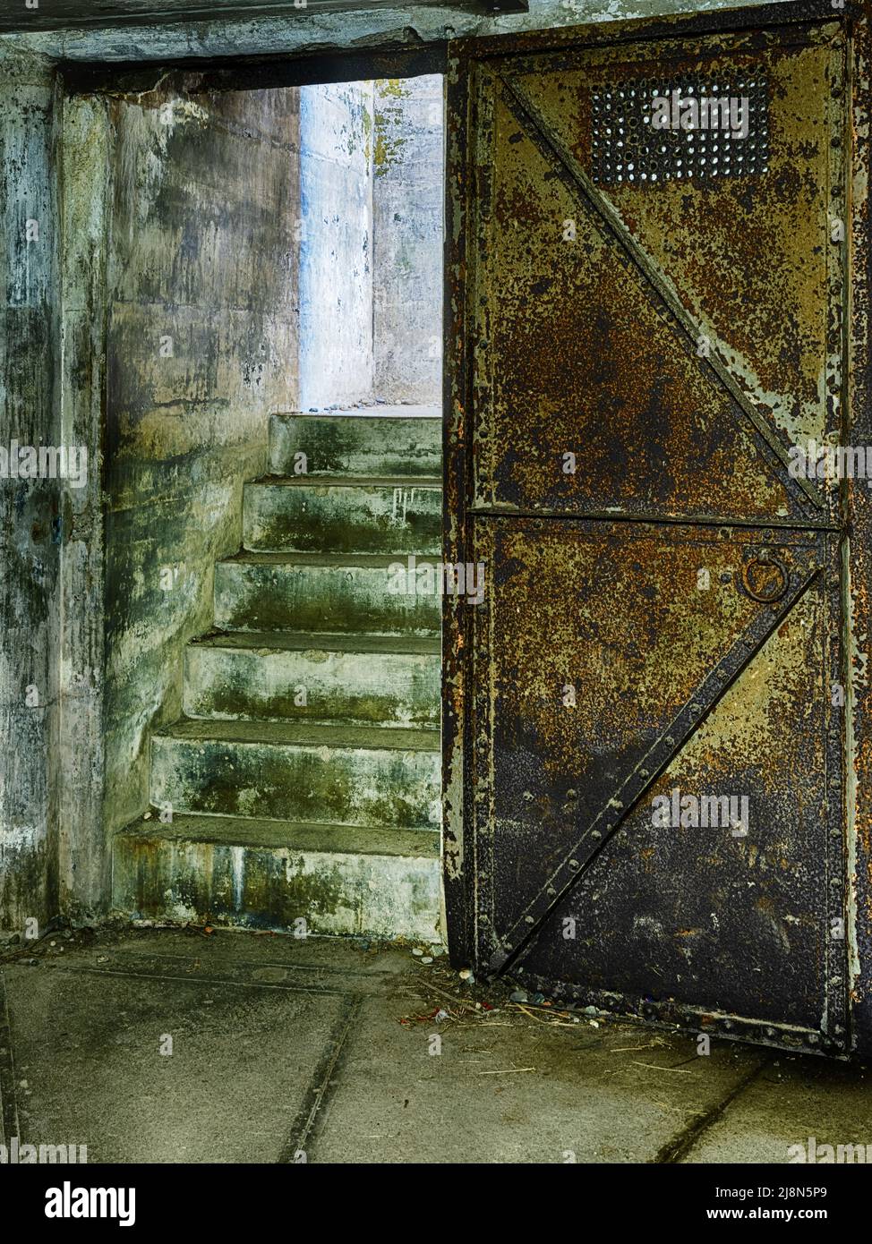 Stairs exiting the basement rooms at Fort Casey appear to be covered in a light layer of green mold. Stock Photo