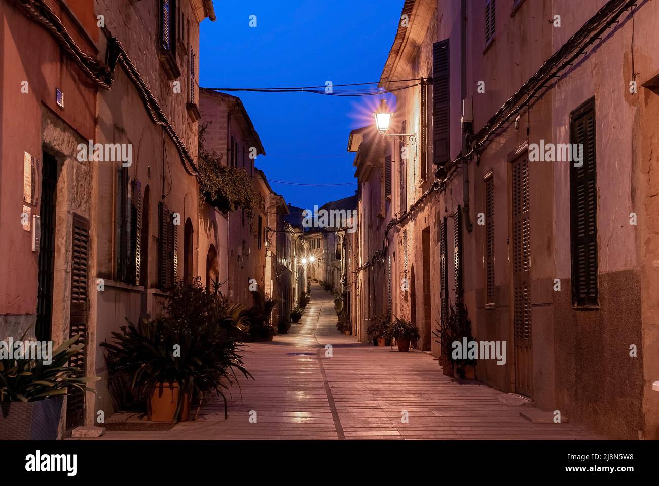Illuminated empty alley amidst plants and buildings in old town at night Stock Photo
