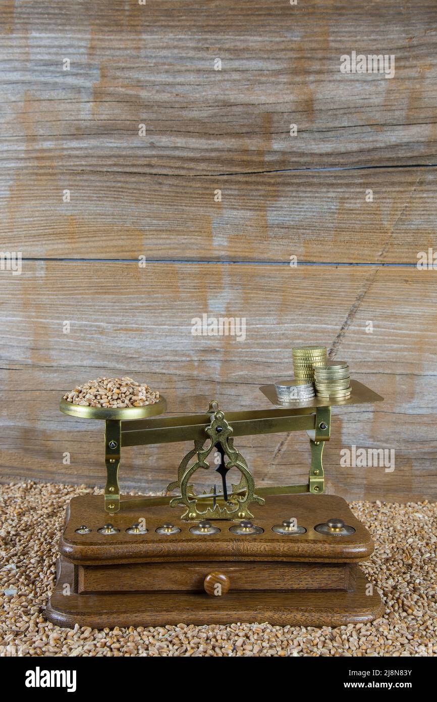 Grain and euro coins on the scales. Stock Photo
