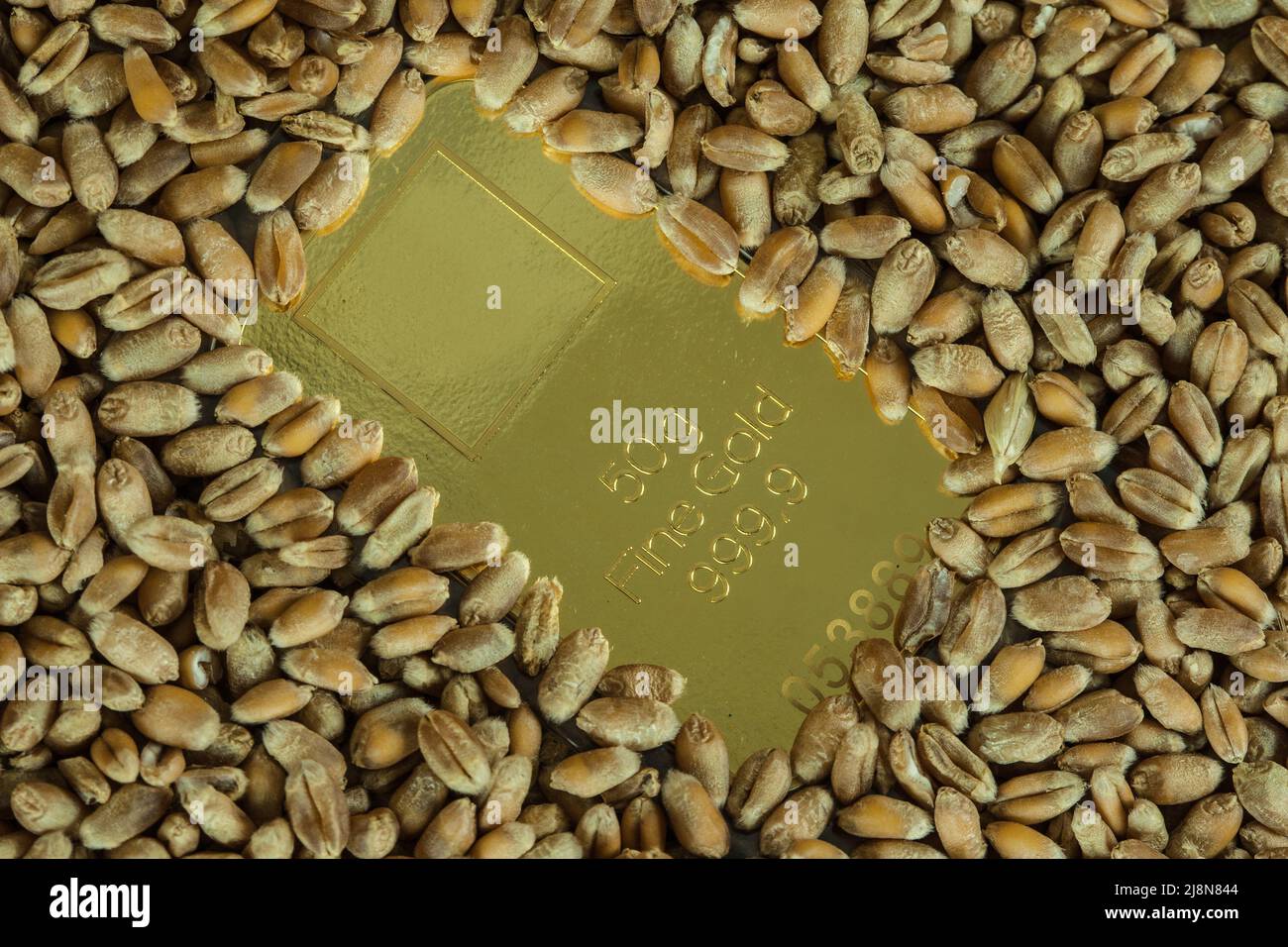 Grain is the new gold of the future. Stock Photo