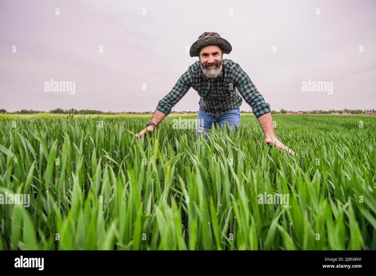 Happy farmer is standing in his growing wheat field Stock Photo - Alamy