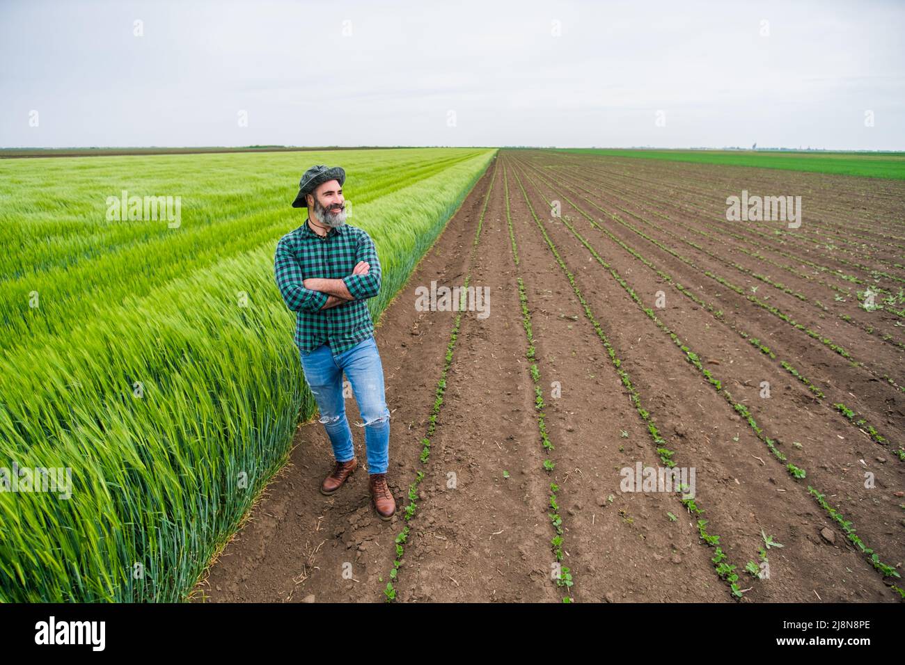 Happy farmer is standing beside his growing wheat field Stock Photo - Alamy