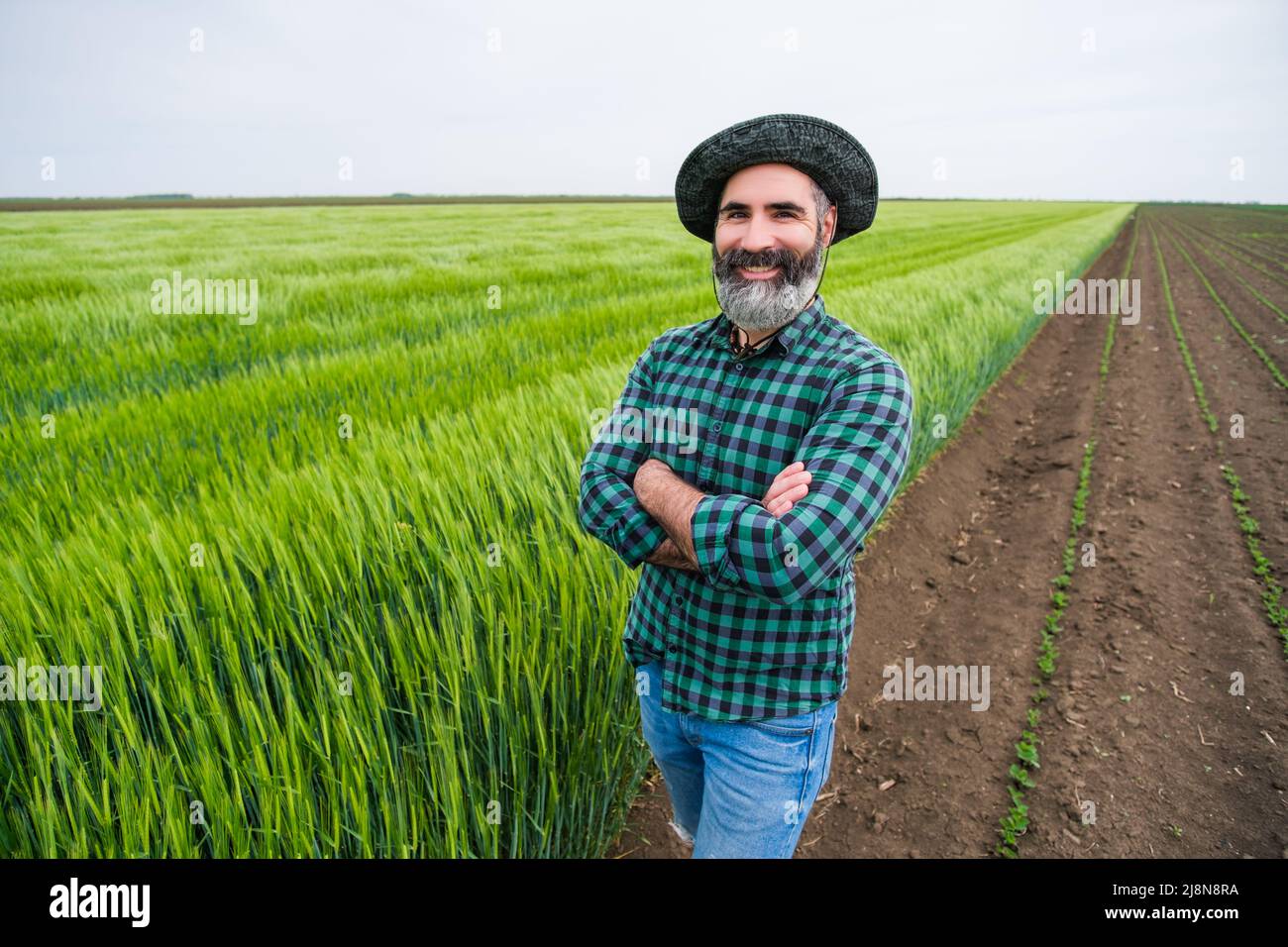 Happy farmer is standing beside his growing wheat field Stock Photo - Alamy