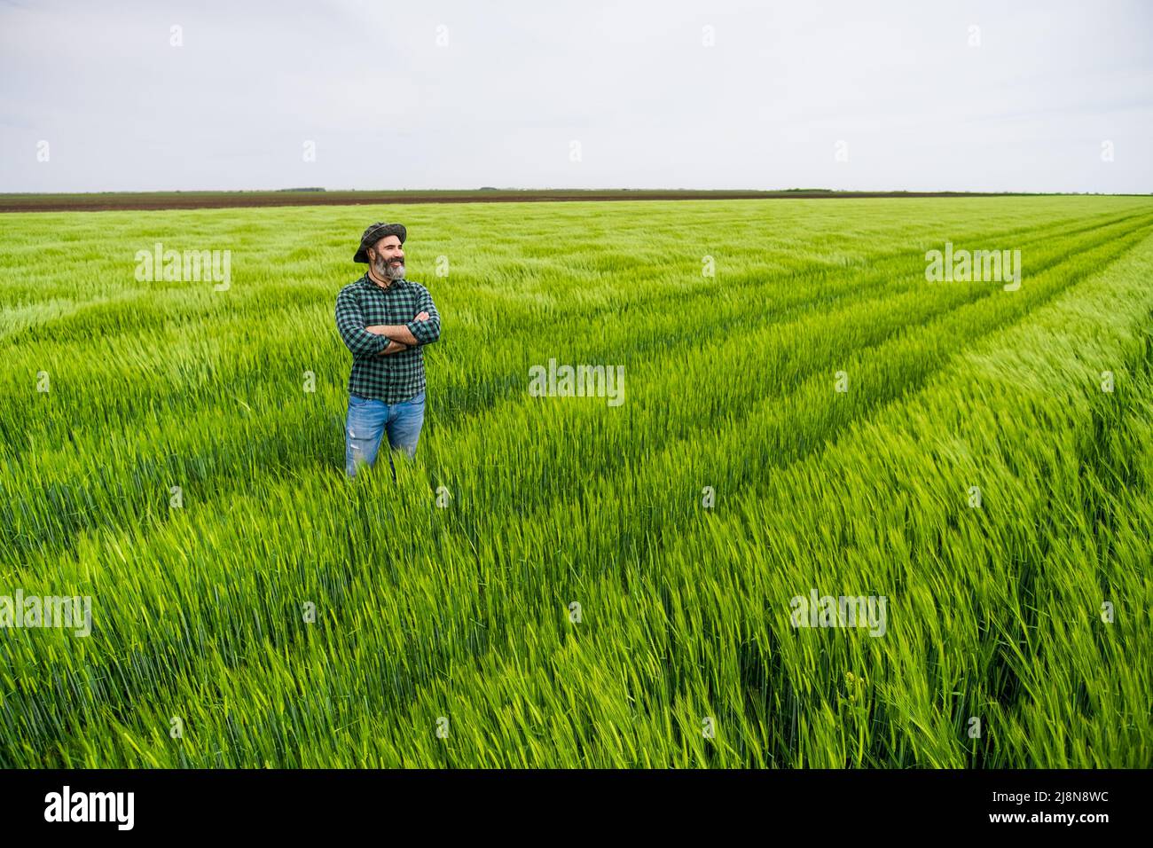 Happy farmer is standing in his growing wheat field Stock Photo - Alamy