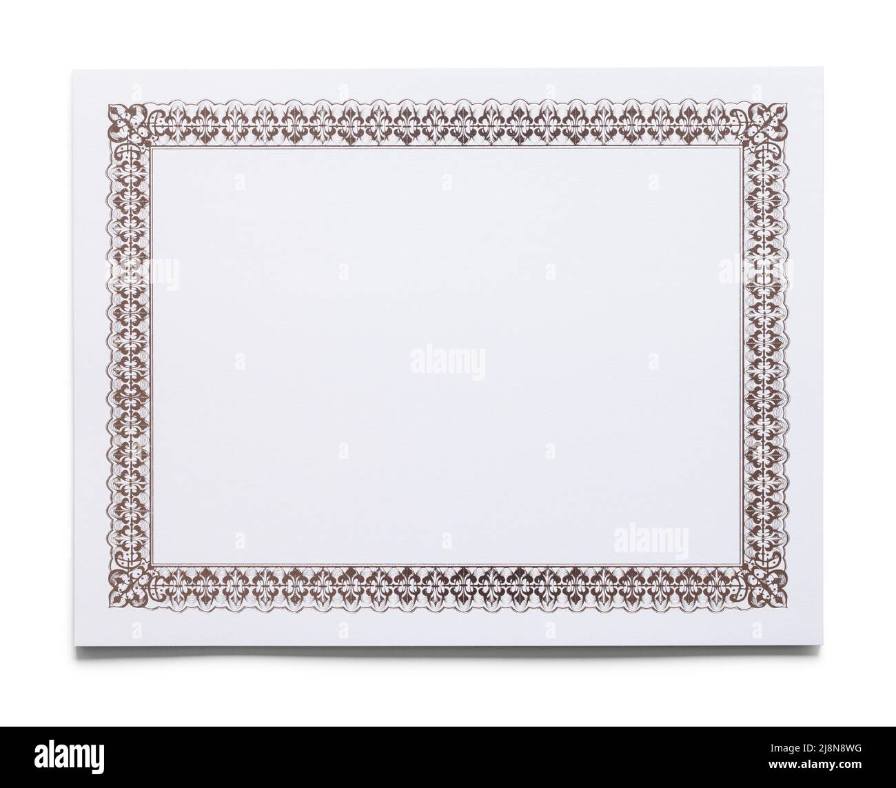 Ornate Blank Certifcate Paper Cut Out on White. Stock Photo