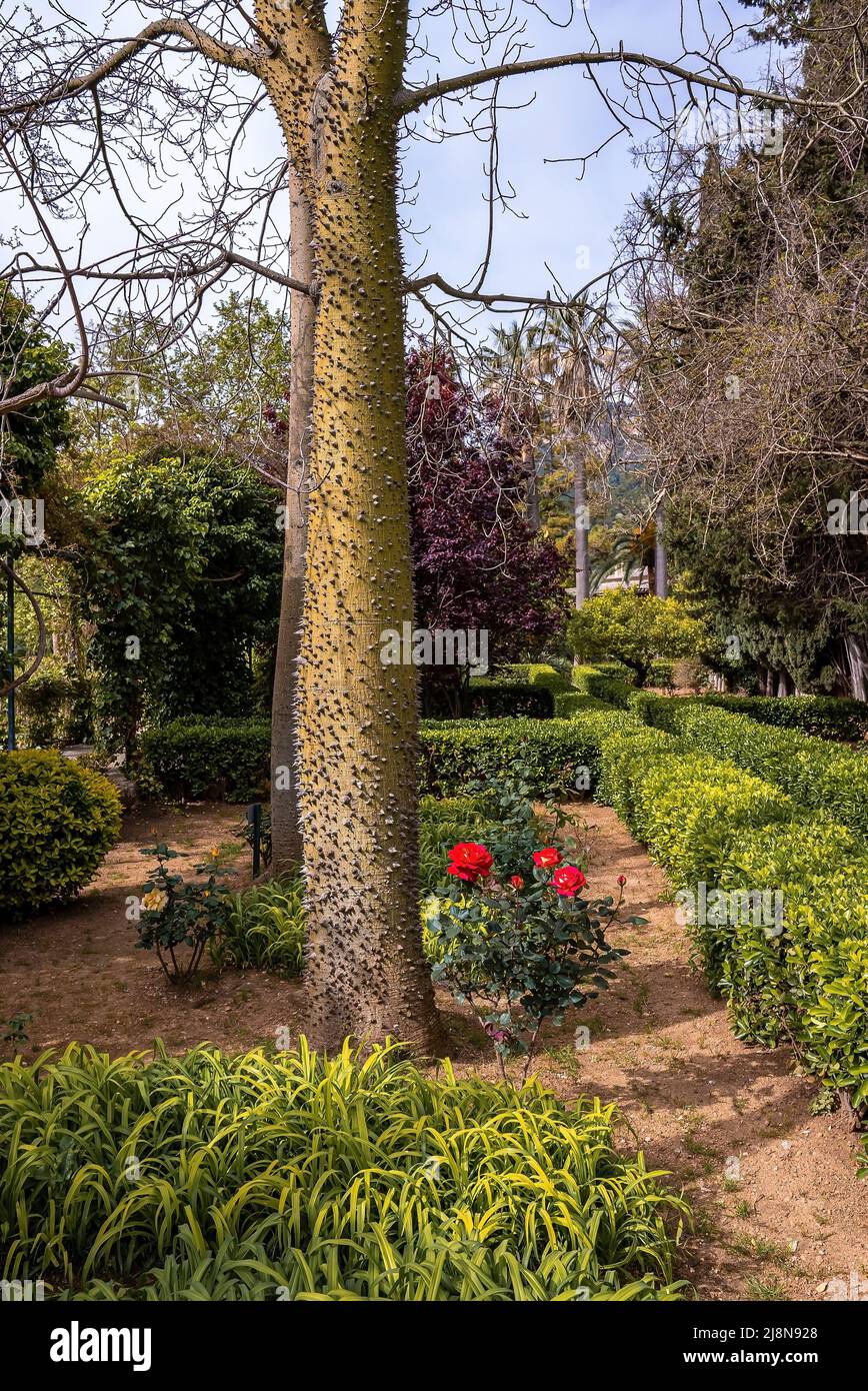 Trees and plants growing in park against sky at historic town Stock Photo Alamy