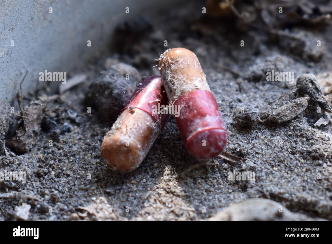 Expired medicine used as fertilizer. Closeup view Stock Photo Alamy