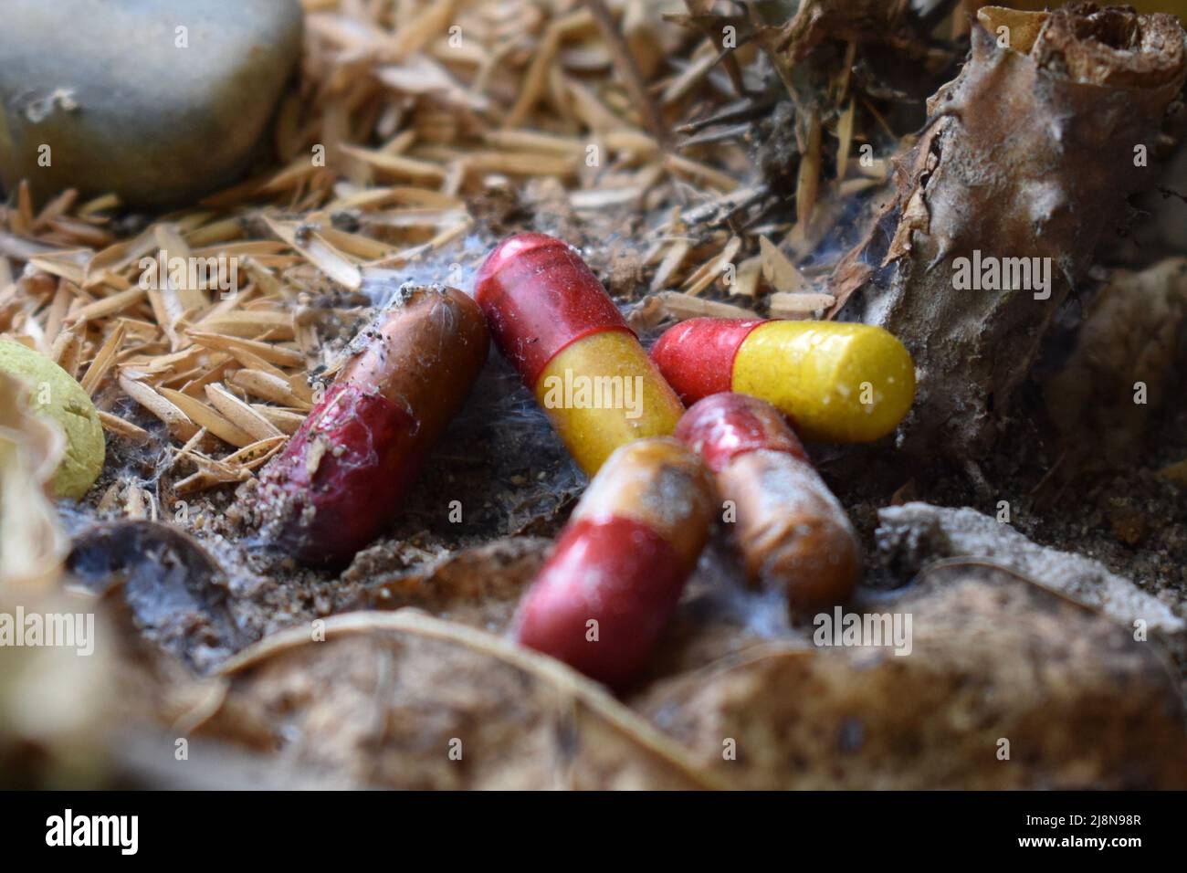 Expired medicine used as fertilizer. Closeup view Stock Photo Alamy