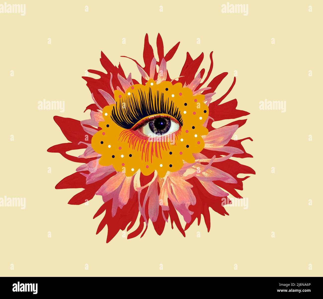 Contemporary art design. Eyeball in flower. Modern conceptual art poster with with beautiful eye in a mas surrealism style. Stock Photo