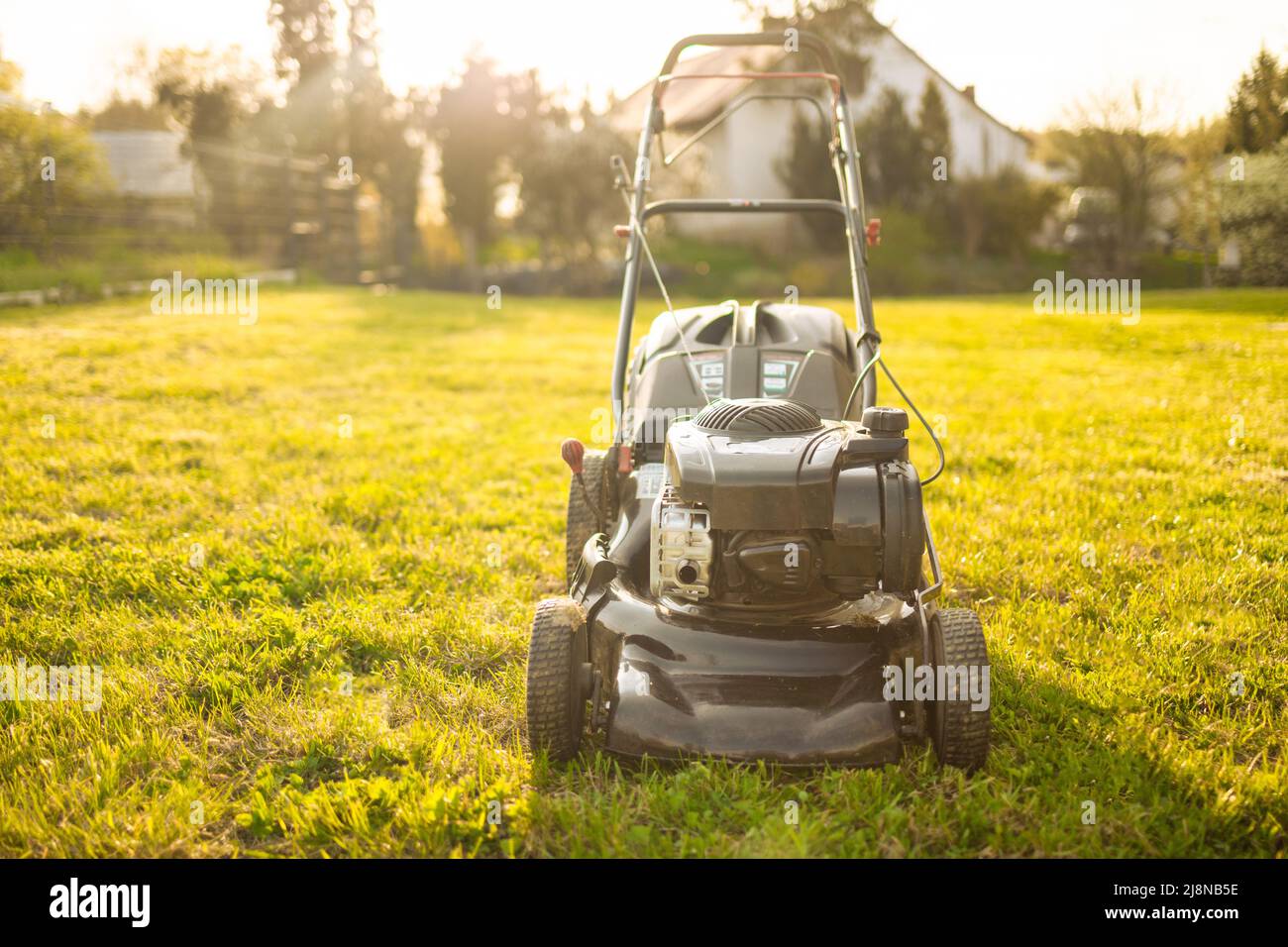 Gardening care tools and equipment. Process of lawn trimming Stock