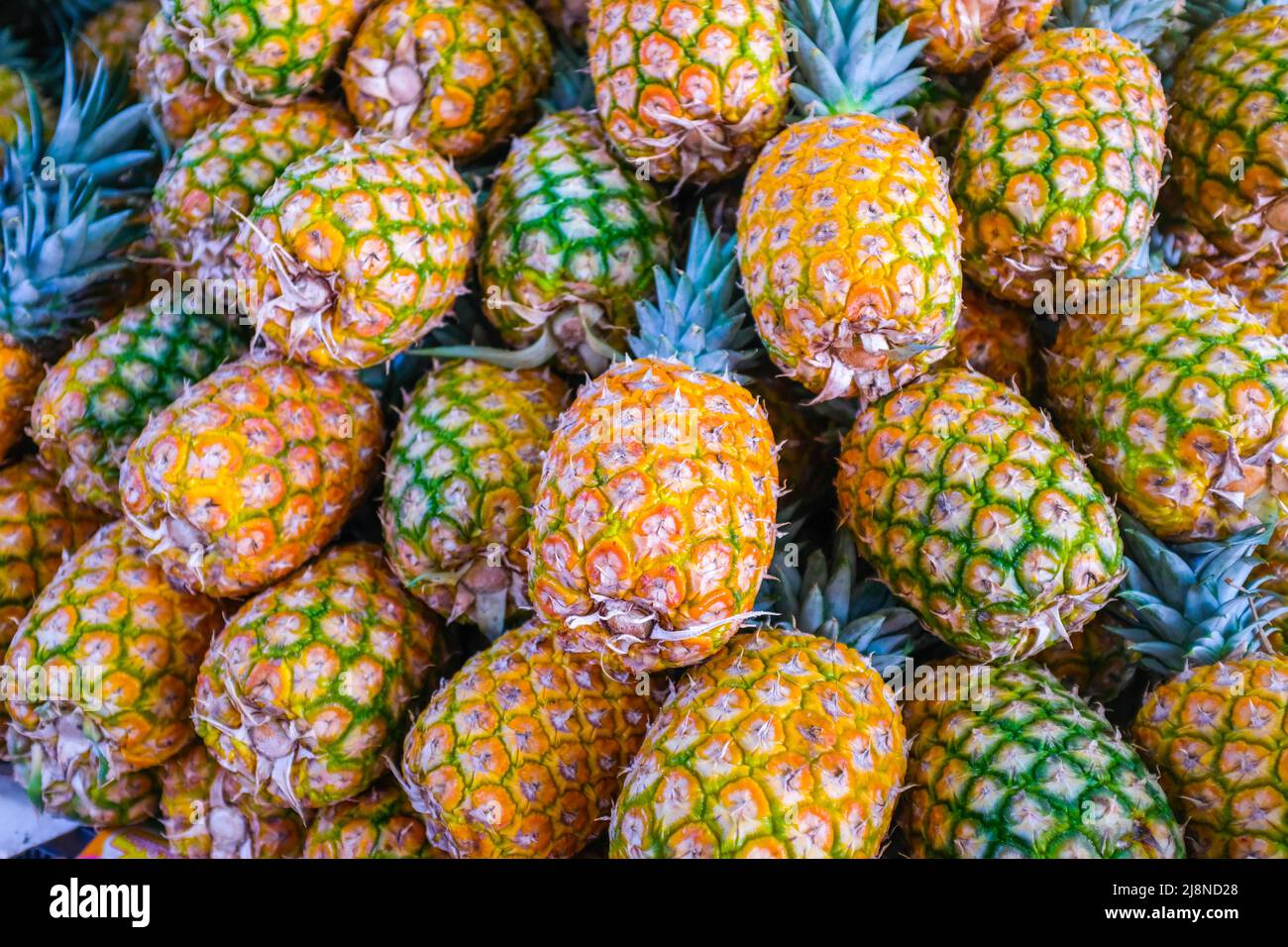 Pineapples, Yucatan, Mexico Stock Photo Alamy