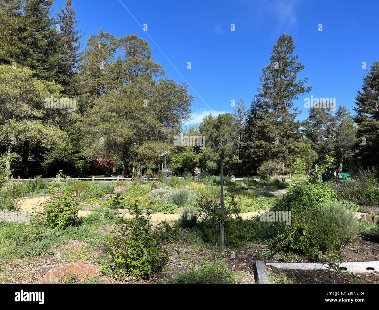 Kennedy grove hires stock photography and images Alamy