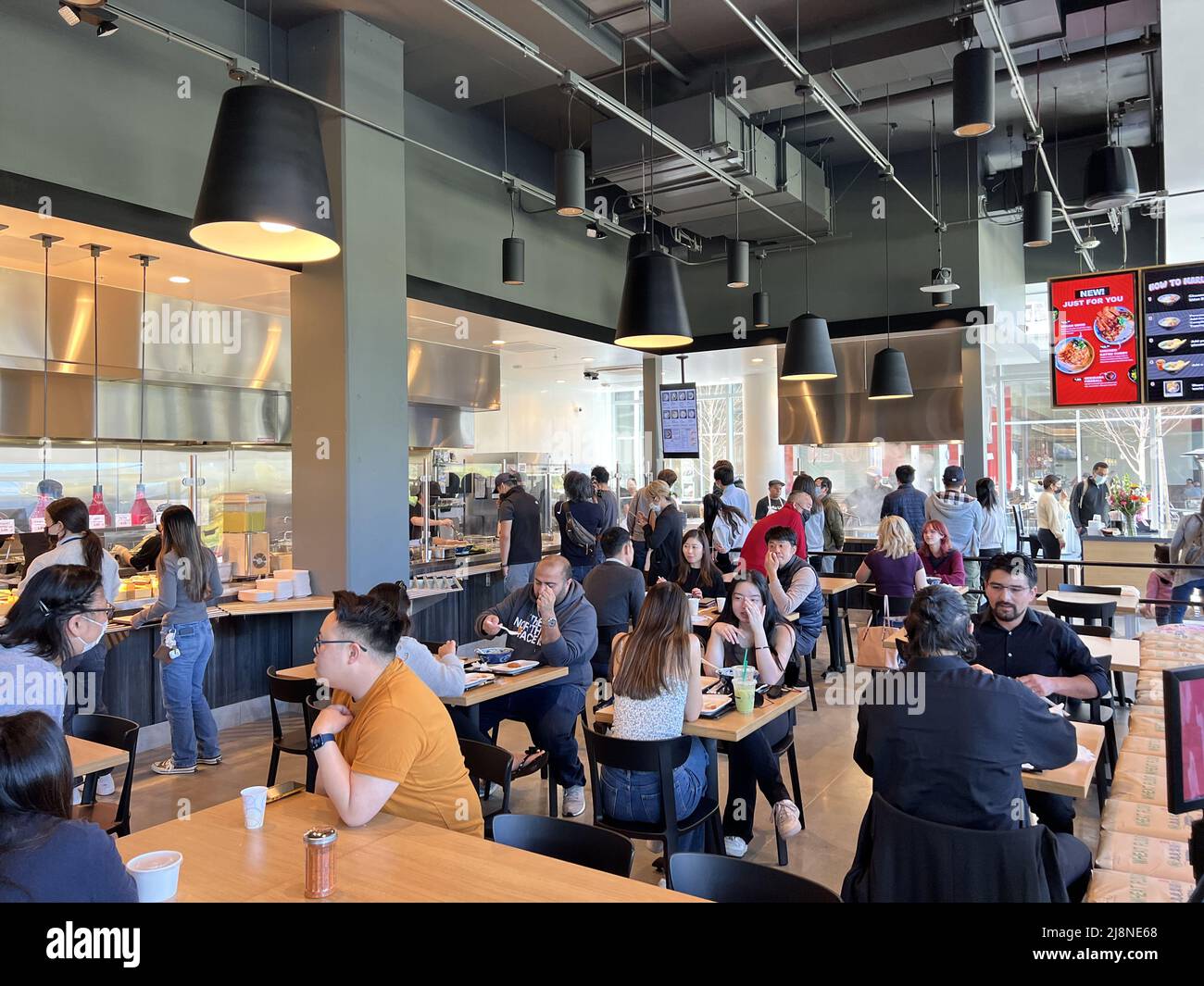Interior during grand opening of Marugame Udon at City Center