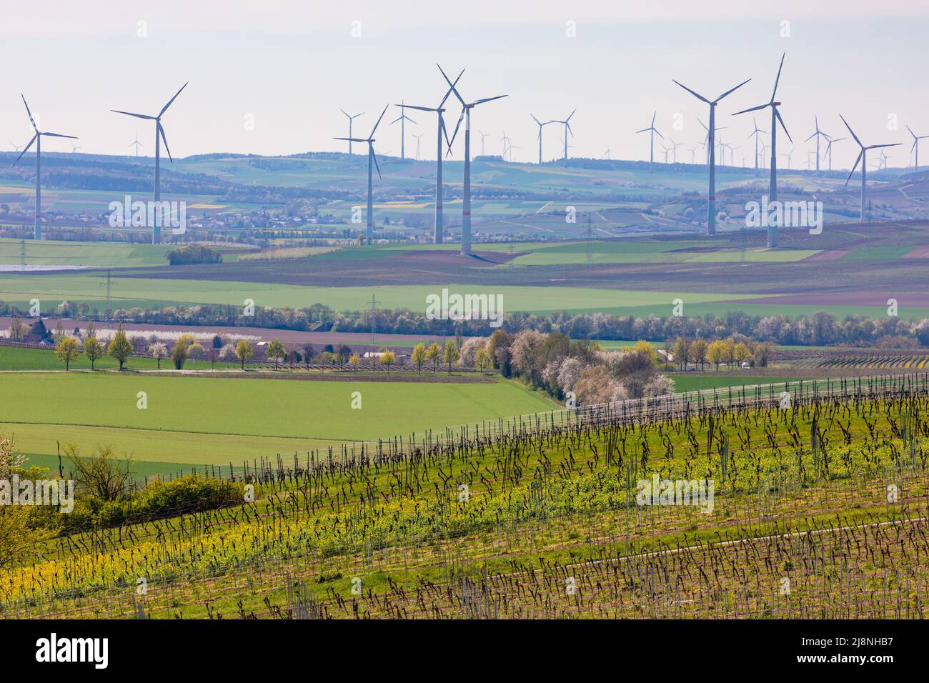 An endless number of wind turbines spoil the landscape in rural Rhineland, Germany Stock Photo