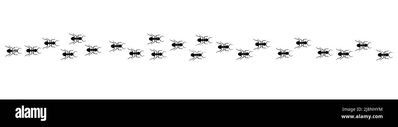 Ant trail A line of worker ants marching in search of food Vector illustration horizontal banner Ant road column Teamwork Hard work metaphor. Black in Stock Vector