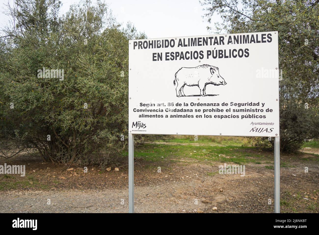 Sign forbidden to feed wild animals, Wild boar, in Spanish, Andalucia