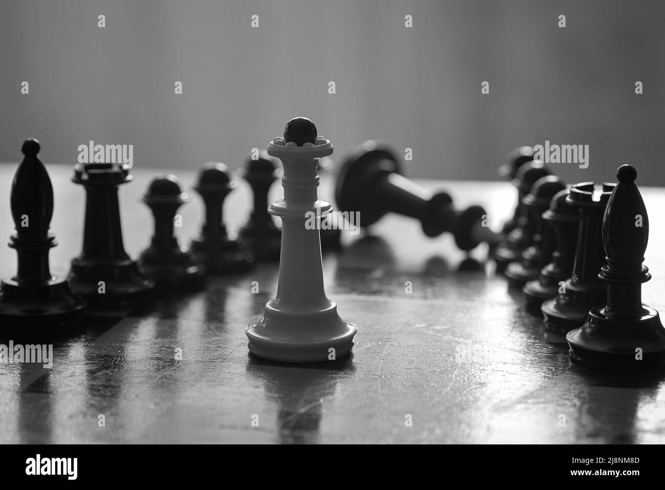 Checkmate Black Queen Takes Out White King To Win Match Stock Photo -  Download Image Now - iStock