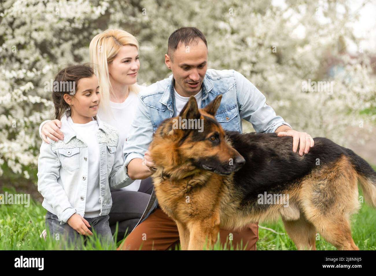 Smiling Father, Mother, daughter and Pet Dog Play. Sun Shines on ...