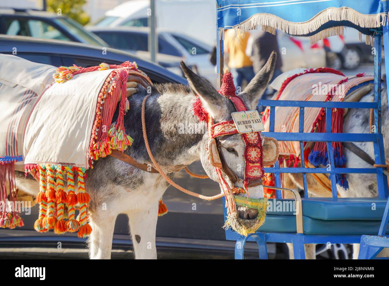 Donkey rides offered in white washed village of Mijas Pueblo in ...