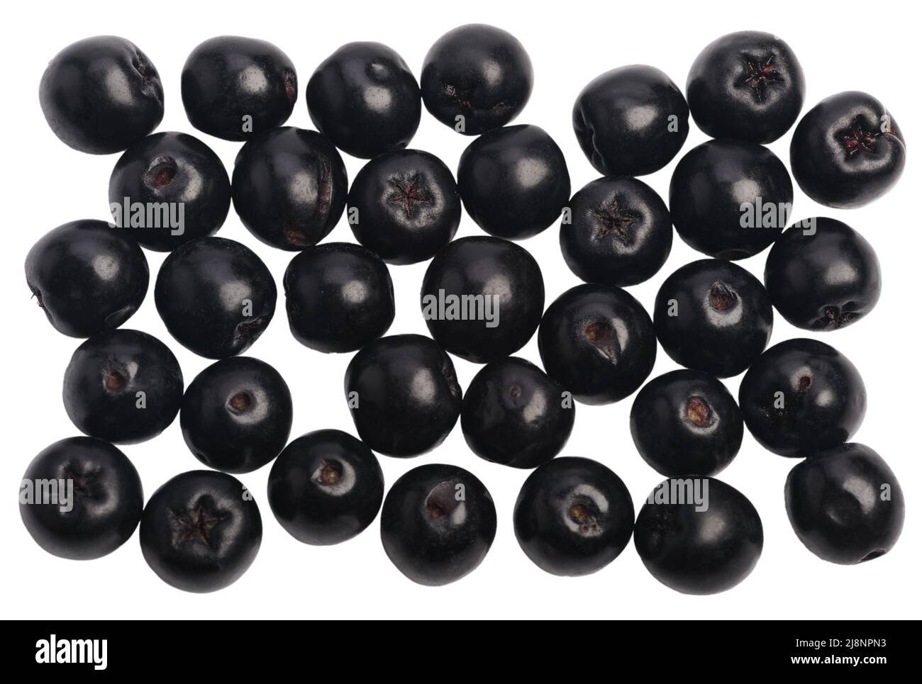 Several black officinal Сhokeberry berries isolated on a white background Stock Photo