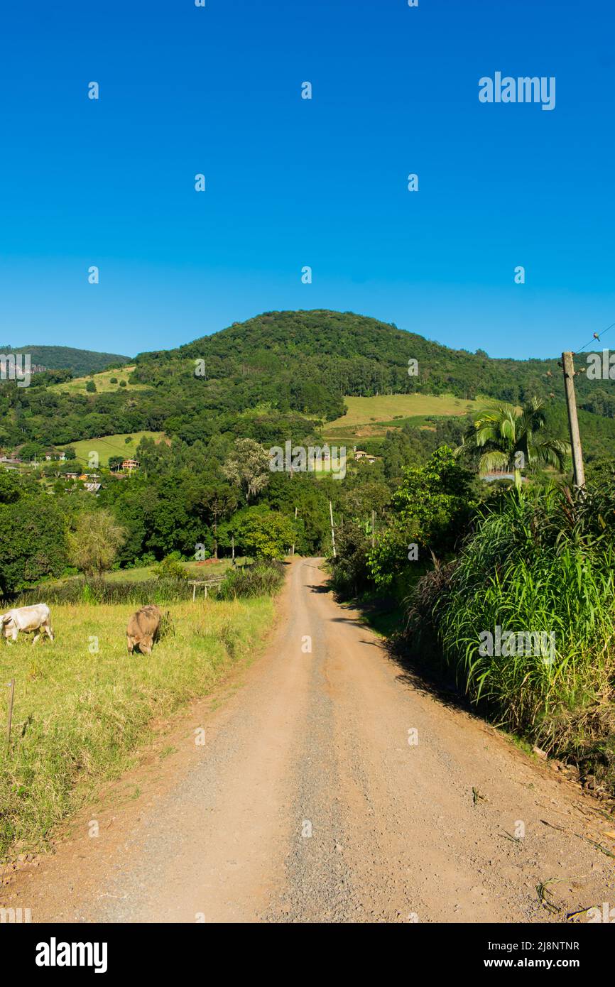 A view of the countryside in Tres Coroas - Rio Grande do Sul state ...