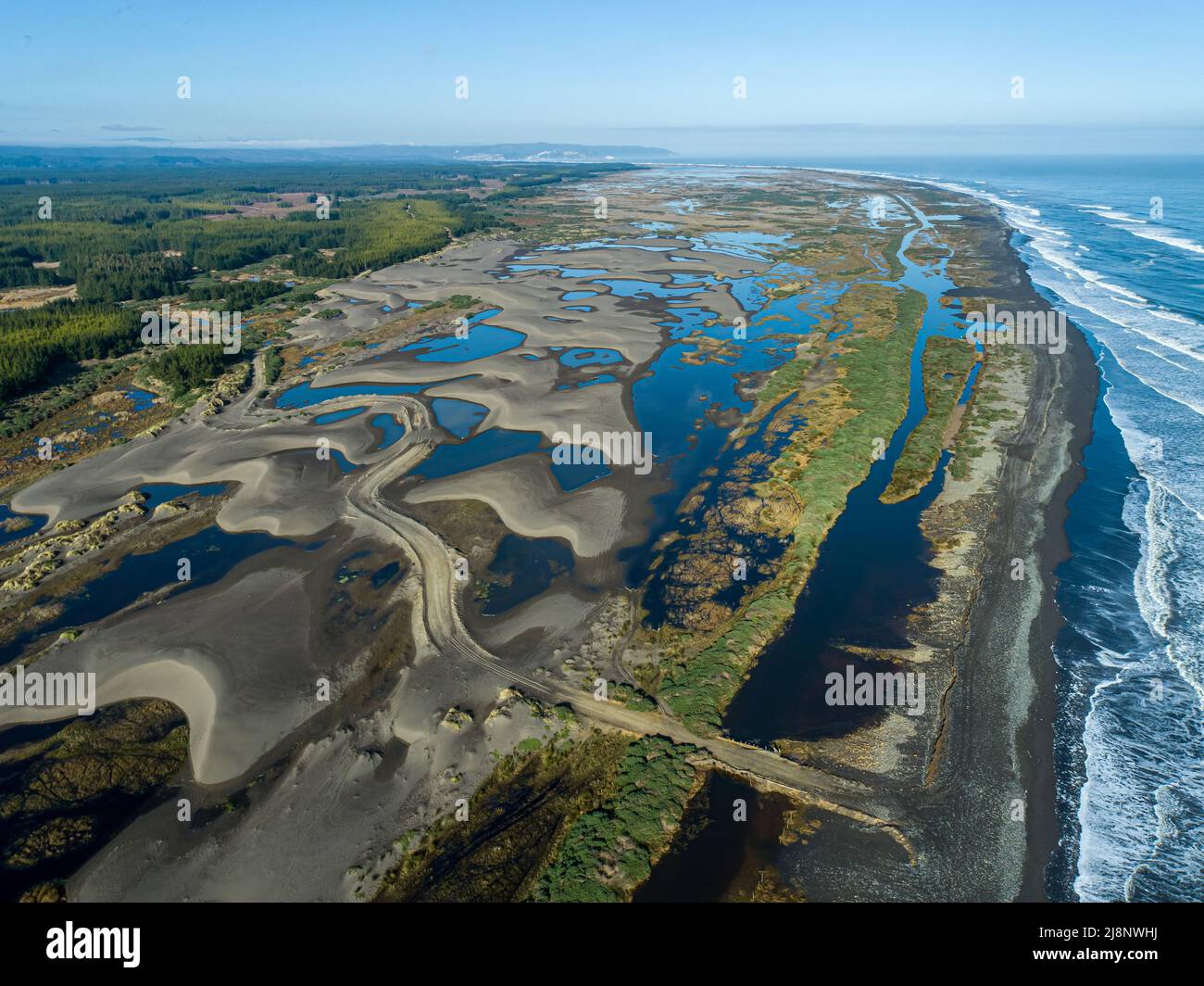Nea Region Whetland nea ocean in seventh region Maule in Chile Stock Photo - Alamy