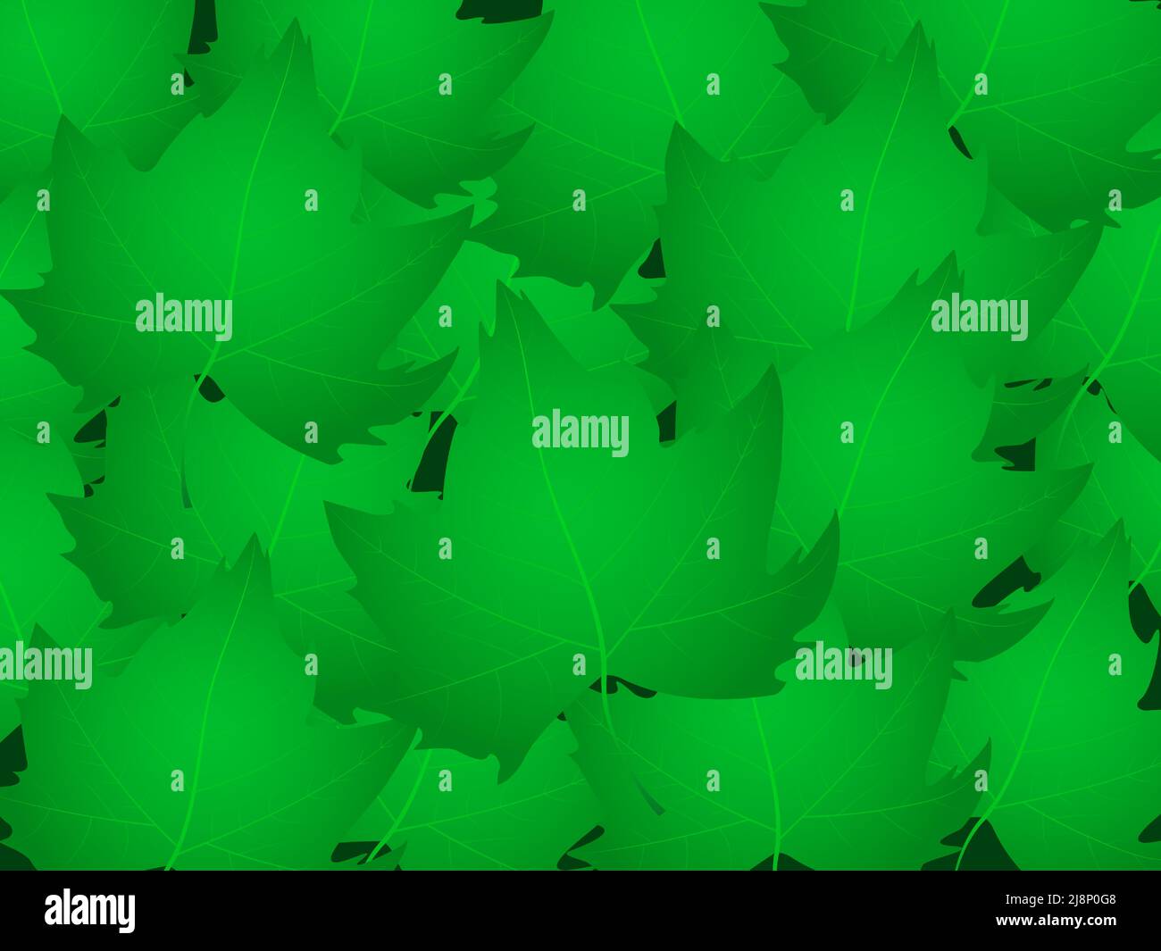 Green maple leaves pattern. Realistic maple leafs on green vector ...